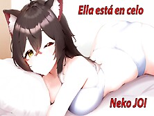 Spanish Joi With A Neko Girl.