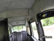 Busty Banged From Behind In A Fake Taxi