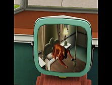 Your Porn Channel In The Game Sims 3,  Adult Mods | Porno Game 3D