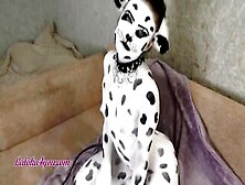 Crazy Hot Women Inside Dalmatian Costume Playfully Rides Cavalier's Huge Dick