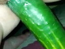 18 Years Old Masturbating With Cucumber