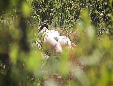Stripped Chick Is Sunbathing In The Nature,  Not Knowing That Somebody Is Secretly Watching Her