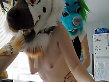 Horny Fursuiters Fuck In Bakery