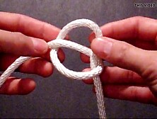 Snake Knot