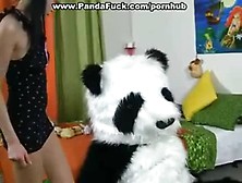 Panda Scares And Fucks