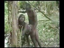 African Tribe Members Caught Fucking In A Tre