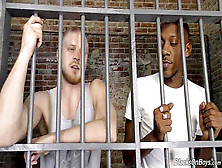 Interracial Faggot Orgy In The Prison