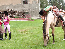 Girls In Riding Clothes And Boots Have A Lesbian Foursome On The Farm