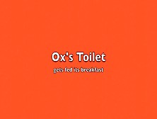 Ox's Toilet Eats Shit