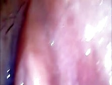 Cam In Mouth Vagina And Extreme Ass Closup