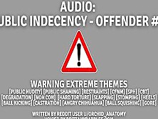 *warning Intense Themes* Audio: Outdoors Indecency - Offender #1