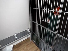 Female Prison - Arrest