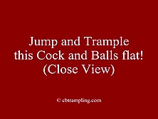 Jump And Trample This Cock And Balls Flat!