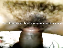 Amateur Sri Lankan Close Up Fuck Vid