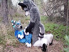 Horny Furries Fuck In The Wild