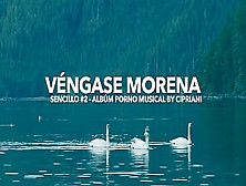 Vengase Morena - Second Single From Cipriani's Album Porno Musical