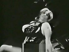 Seductive Show Of Belly Dancers (1970S Vintage)