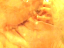 Ariella Ferrera Fingered By Hot Dude In Shower Room