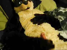 Ychan - Otter,  Suit,  Fursuit,  Paw,  Pawing,  Fap,  Fapping,  Mas. Flv
