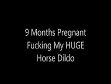 9 Month Pregnant Fucking Huge Horse Dildo