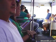 Babe Is Giving Blowjob In Bus