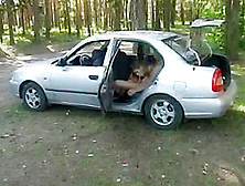 Blonde Russian Teen Anal In Car And Outside
