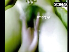 Horny And Juicy Desi Indian Couple In Homemade Sex Video