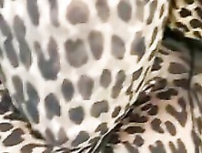 Leopard Stockings Encasement