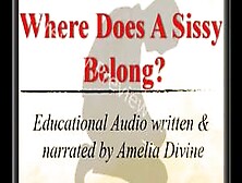 Where Does A Sissy Belong? Preview Audio Only