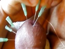 Cbt Hook Piercing Penis Penis Torture