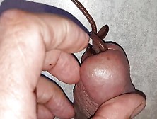 Second Worm Crawl In My Cock