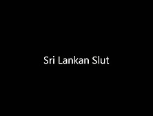 Sri Lankan Squirt