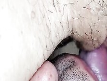 Fucking Some Married Hoe From The Bar With A Ass Plug Vibrator And My Dick