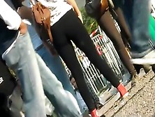Girl In Black Tights During A Street Concert