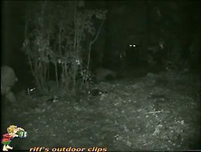 Skinny Girl Pissing In The Woods Caught On Voyeur Nightcam