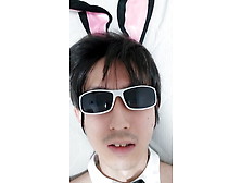 If You Met A Bunny Boy,  What Would You Do?