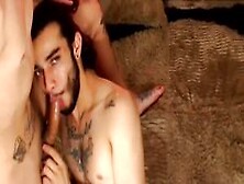 Blowjob Gay Hairy Belly