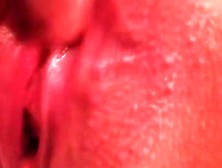 Drip Dripp (Close-Up Clit Rubbing Fingering Pussy). Mp4