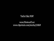 Toilet Slut Pov