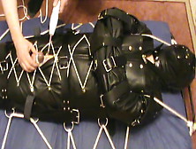 In A Leather Insane Sack