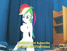 21 Yrs Rainbow Dash Real Hentai Mlp Equestria Anime Porn Animation Sex Cartoon Xxx Cosplay Pony