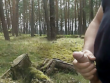 Jerking Off In The Forest