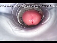 Cum Inside Fleshlight