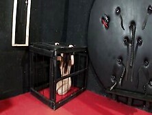 Little Skank Is Let Out Of The Cage To Fucked!