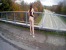 Flashing On A Bridge (1)