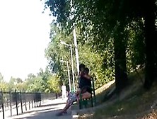 Guy Fucks A Girl In Public On A Bench