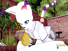 Yaoi Anime,  Yaoi Hentai,  Furry Animation