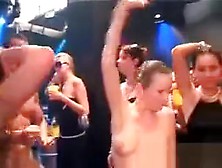 Orgy Sexy Sluts Pouring Beer Over Their Hot Bodies