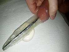 Urethral Sounding Inside A Condom,  With Cockring