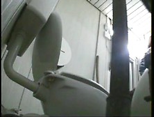 Two Hot Ass Slits Voyeured On The Toilet Spy Camera